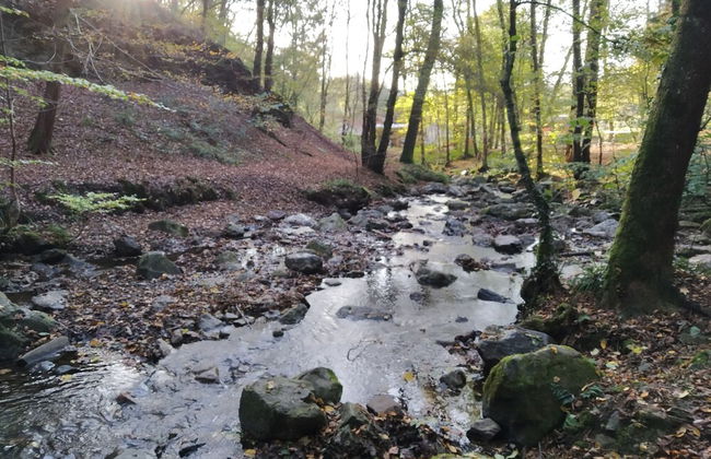 La Grange de David - Foto 57