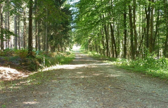 La Grange de David - Foto 40