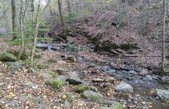 La Grange de David - Foto 58