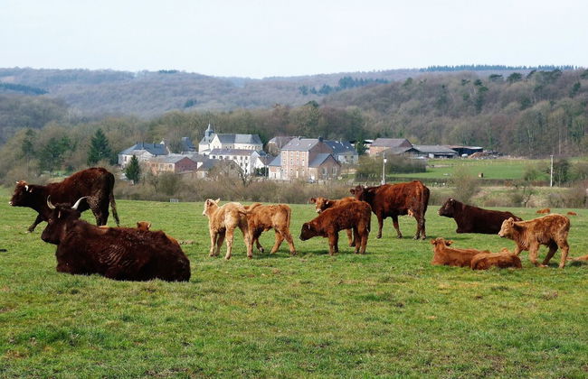 La Grange de David - Foto 38