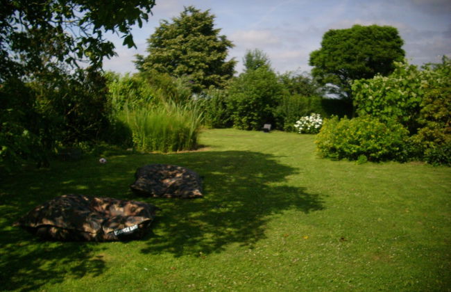 De Reus van Horebeke - Foto 33