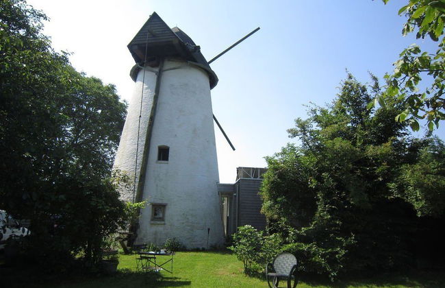 De Reus van Horebeke - Foto 38