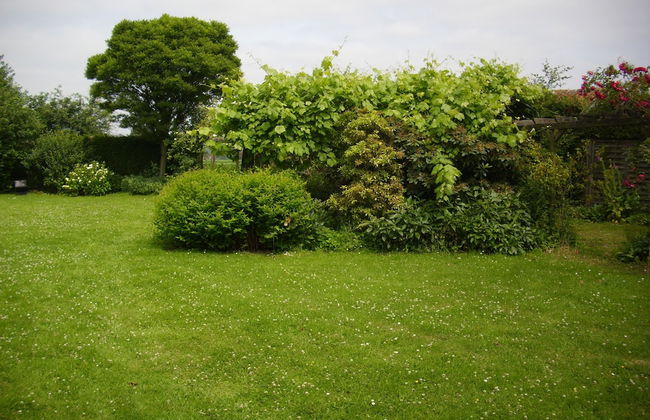 De Reus van Horebeke - Foto 36