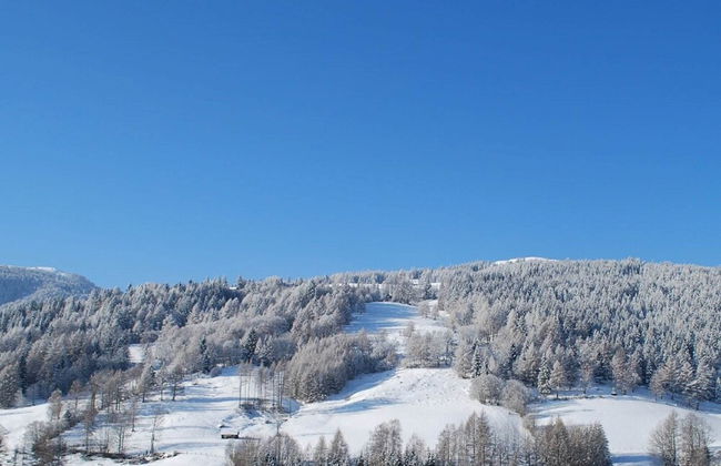 Apartment in Rennweg Near Katschberg Ski Area - Photo 22