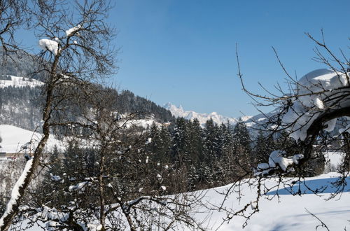 Photo 23 - Sprawling Mansion near Ski Area in Salzburg