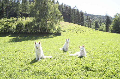 Photo 14 - Sprawling Mansion near Ski Area in Salzburg