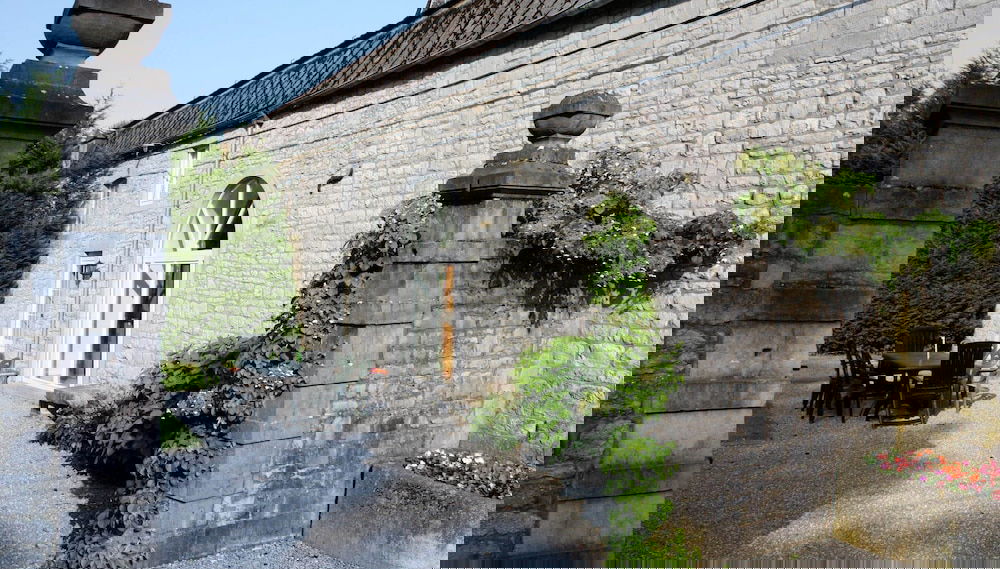 Image principale