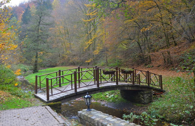 Plush Mill in Vresse-sur-semois With Pool & Sauna - Foto 30