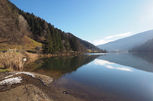 Photo 29 - Apartment in Styria Near Bathing Lake