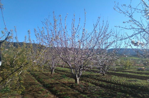 Photo 28 - Les Jardins D'Azrou