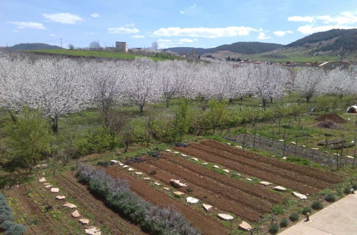 Foto 29 - Les Jardins D'Azrou