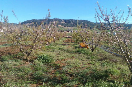 Photo 30 - Les Jardins D'Azrou