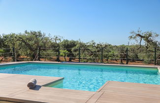 Photo 3 - TD Trulli Albapetra Pool Olive Trees