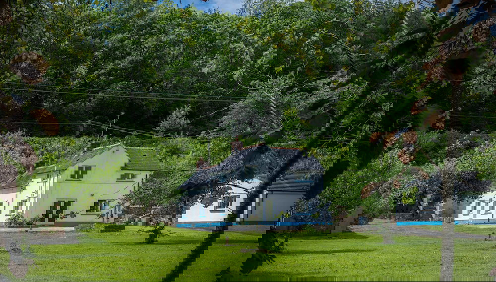 Imagem principal