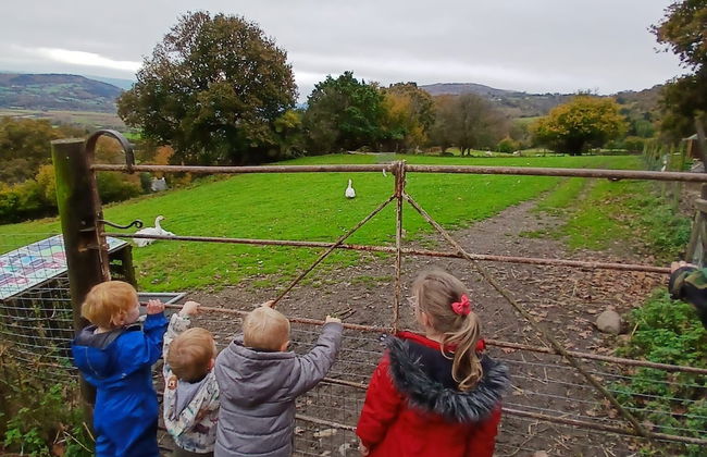Idlewild Animal Sanctuary Farmhouse Stay - Charity - Foto 40