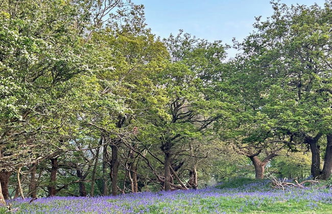 Idlewild Animal Sanctuary Farmhouse Stay - Charity - Foto 39