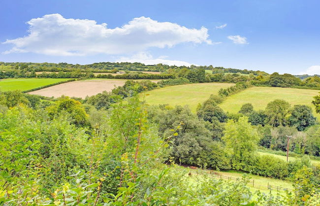 Shepherds Hut Near Exmoor National Park - Foto 43