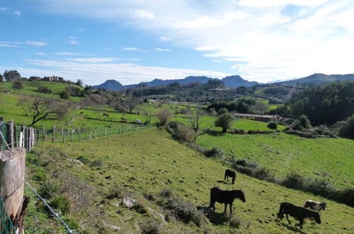 Photo 24 - Casa de Aldea Finca Los Venancios