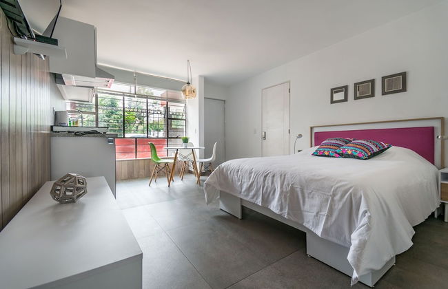 JUUB Colorful, Studio in New Polanco District - Photo 6