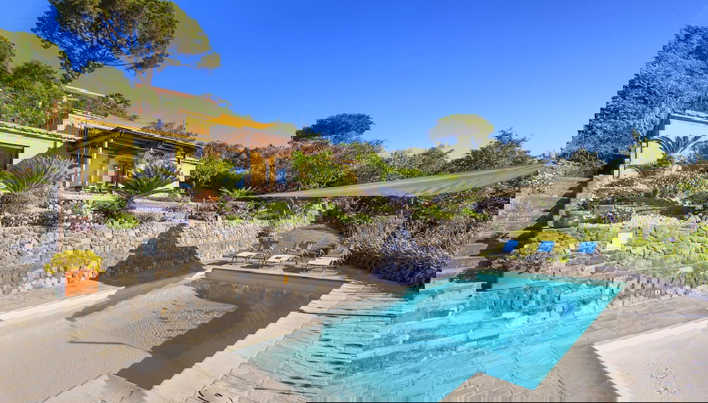 Primary image