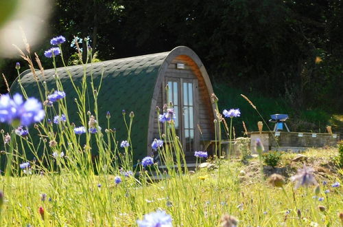 Photo 1 - Cosy Pod-cabin Near Beautiful Landscape in Omagh