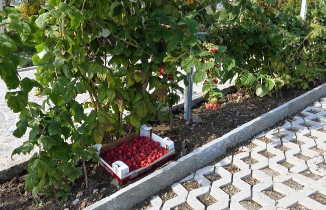Agriturismo Il Colle - Foto 72