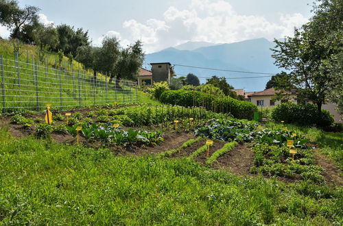 Foto 61 - Agriturismo Il Colle