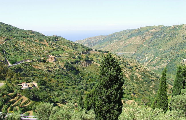 L'Uliveto - Foto 38
