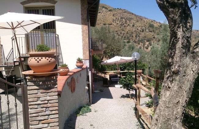 L'Uliveto - Foto 15