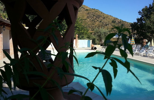L'Uliveto - Foto 53