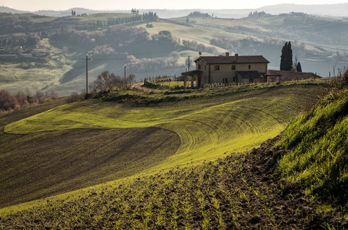 Photo 46 - Podere Torricella