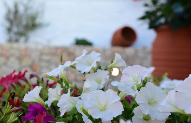 Gorgeous Villa with Garden - Stavros Beach - Photo 41