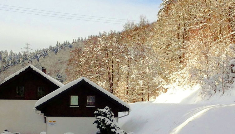 Photo 1 - Apartment With Forest in Goldisthal Thuringia