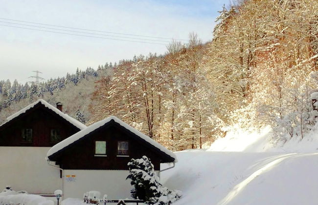 Apartment With Forest in Goldisthal Thuringia - Foto 1