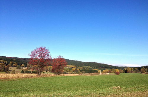 Photo 10 - Cozy Pet-friendly Holiday Home in Tannesberg