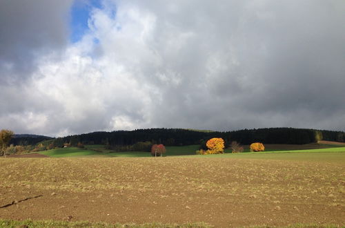 Photo 12 - Cozy Pet-friendly Holiday Home in Tannesberg