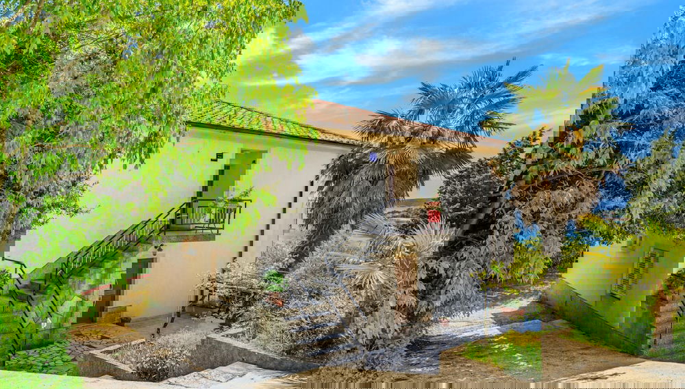 Imagem principal
