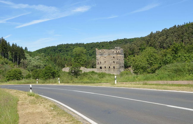 Ferienhaus Paula in Haserich im Hunsrueck - Photo 36