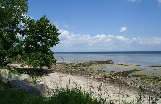 Ferienhof Gut Oestergaard - Foto 54