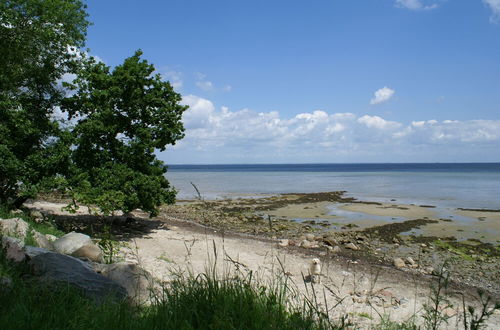 Foto 54 - Ferienhof Gut Oestergaard