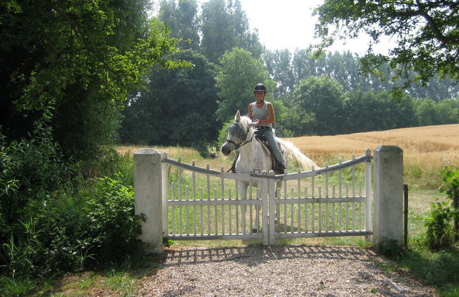 Ferienhof Gut Oestergaard - Foto 46