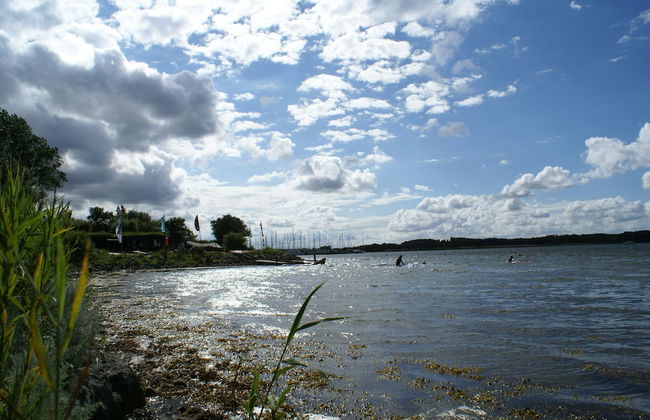 Ferienhof Gut Oestergaard - Foto 44