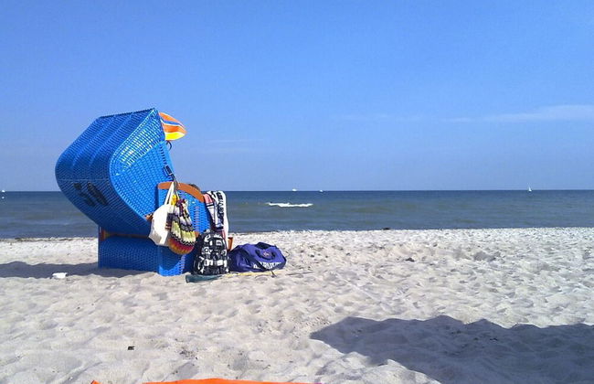 Ferienhof Gut Oestergaard - Foto 53