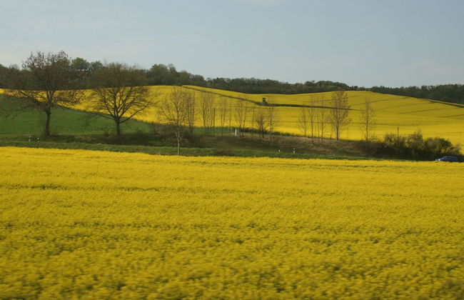 Alluring Apartment near Lake Edersee in Half Timbered House with Terrace - Photo 15