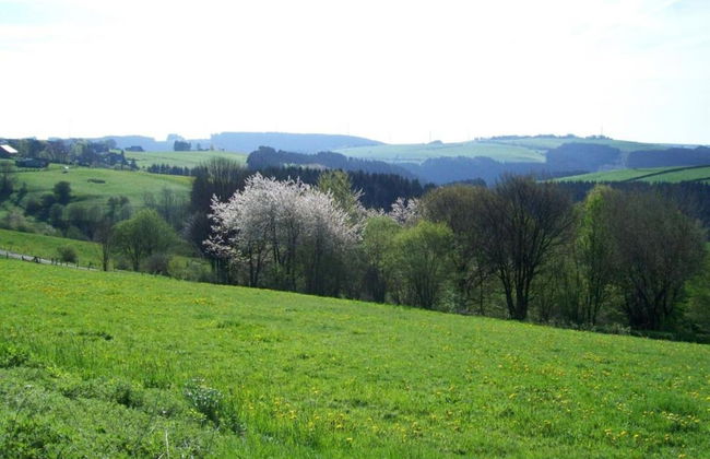 Hellenthal Family Retreat - Foto 35