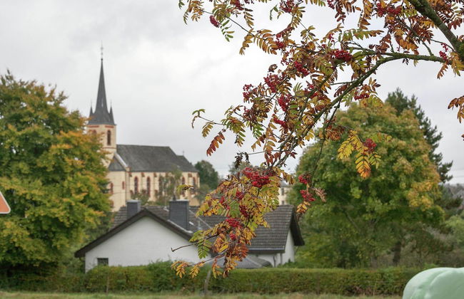 Holiday Home Rodershausen Near Vianden Castle - Foto 22