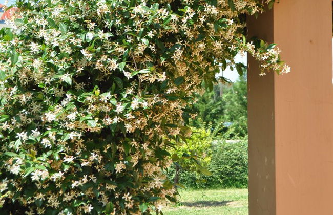 Stilvi No 16 - Foto 27