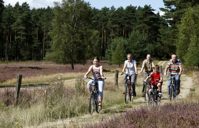 Ferienhof Cohrs - Ferienhäuser - Foto 17