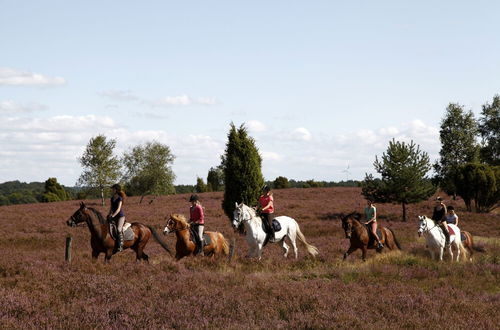 Photo 18 - Ferienhof Cohrs - Ferienhäuser