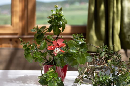 Photo 30 - Quaint Holiday Home in Bad Kotzting With Garden, Terrace